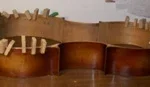 káva káva