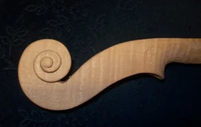 a csiga a csiga